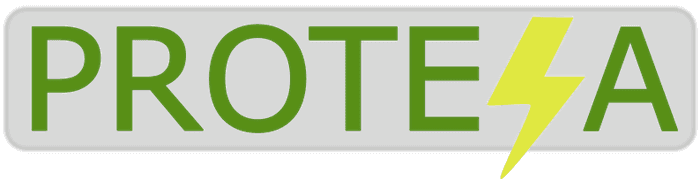 Protesa Logo