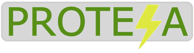 Protesa Logo