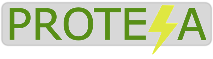 Protesa Logo